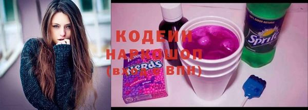твердый Арсеньев