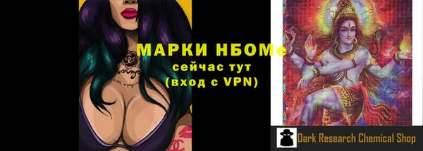 твердый Арсеньев
