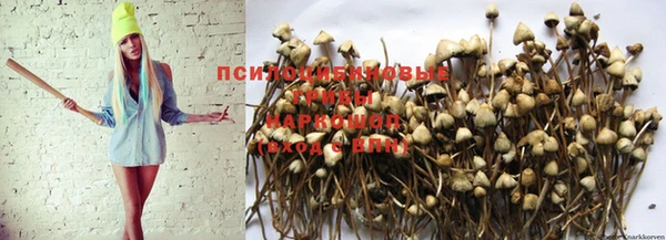 прущая мука Аркадак