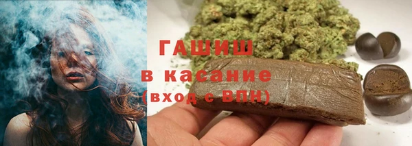 твердый Арсеньев
