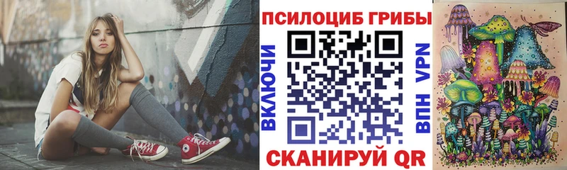 Галлюциногенные грибы Psilocybe  Уварово 